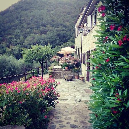Farmhouse B&B Castagnola 64 Ne Luaran gambar
